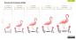 Preview: Extartiqe Duschrollo Flamingo moderner Rollo Duschvorhang